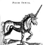 Thomas Coryat's sketch of a unicorn supposedly from his observations, Vol 3 DH 570